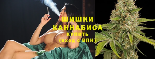 дживик Щигры