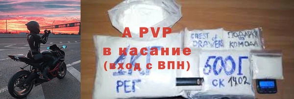 дживик Щигры