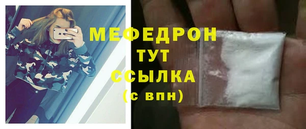 дживик Щигры