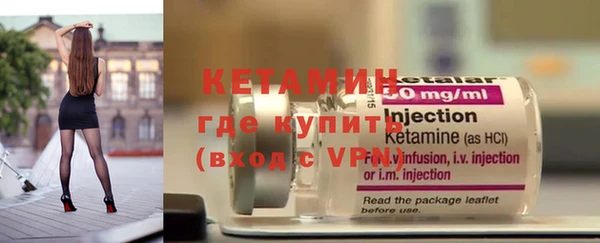 дживик Щигры