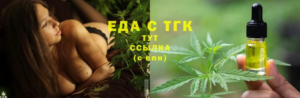 дживик Щигры