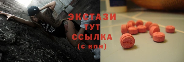 дживик Щигры