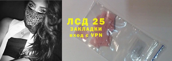 дживик Щигры