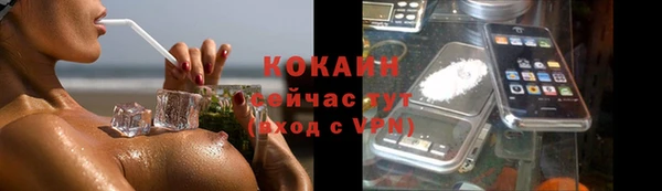 дживик Щигры