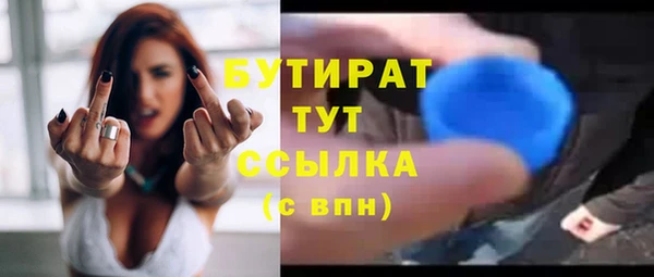 дживик Щигры