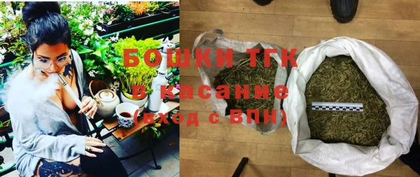 дживик Щигры