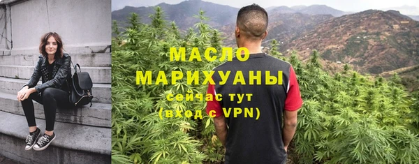 дживик Щигры