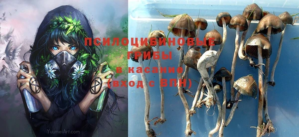 дживик Щигры