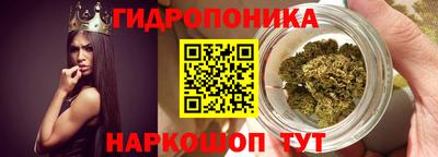 трава Аргун