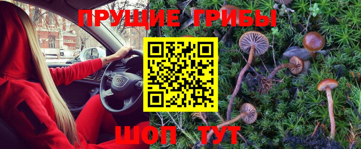 Галлюциногенные грибы мицелий  Галлюциногенные грибы GOLDEN TEACHER  Бердск 