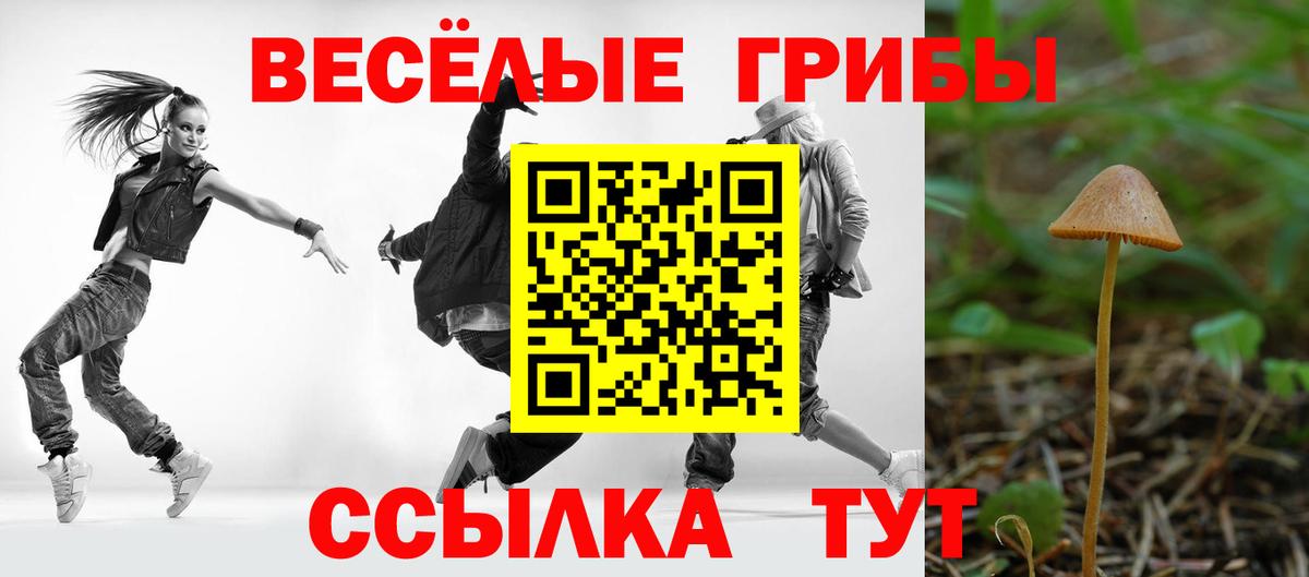 Псилоцибиновые грибы Psilocybine cubensis  Вход с VPN  Бердск 
