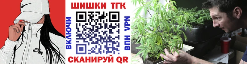 Каннабис сатива  что такое наркотик  МЕГА tor  Бердск 